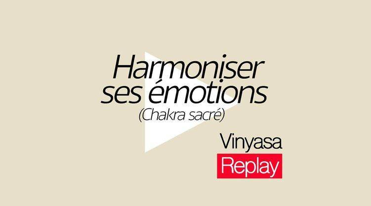 Vinyasa - Harmoniser ses émotions
