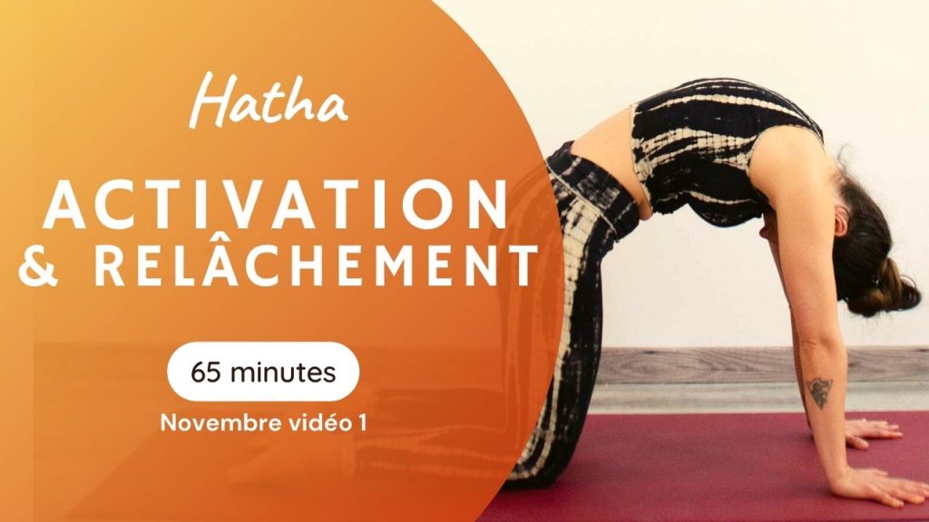 séance akhanda yoga activation et relachement programme yoga à travers les sutras