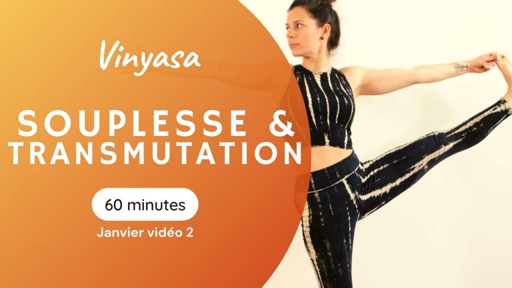séance de vinyasa du programme yoga à travers les sutras