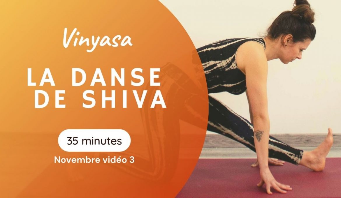 séance courte vinyasa danse de shiva pour le programme yoga à travers les sutras