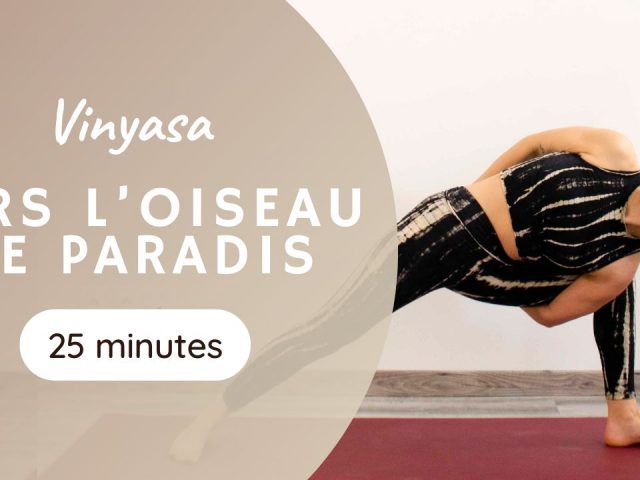 Vers l&rsquo;oiseau de paradis